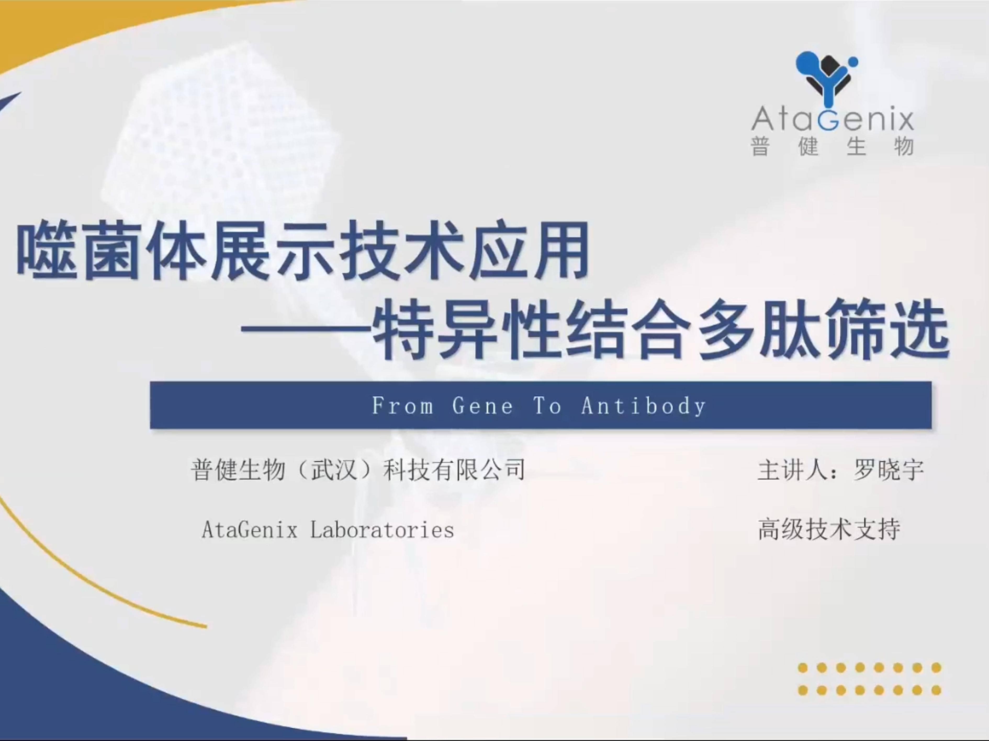 特異性結(jié)合多肽篩選