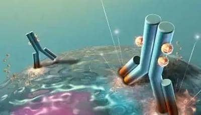 盤點(diǎn)納米抗體的分類-普健生物