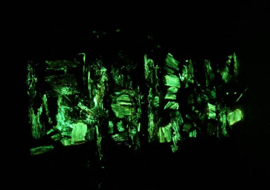 雙熒光素酶報(bào)告基因系統(tǒng)——基因分析便捷工具