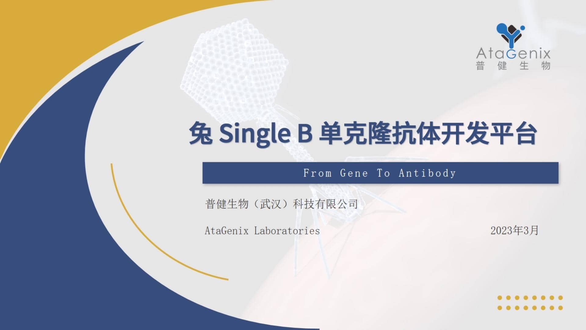 兔穎而出——Single B兔單克隆抗體開發(fā)技術(shù)分享