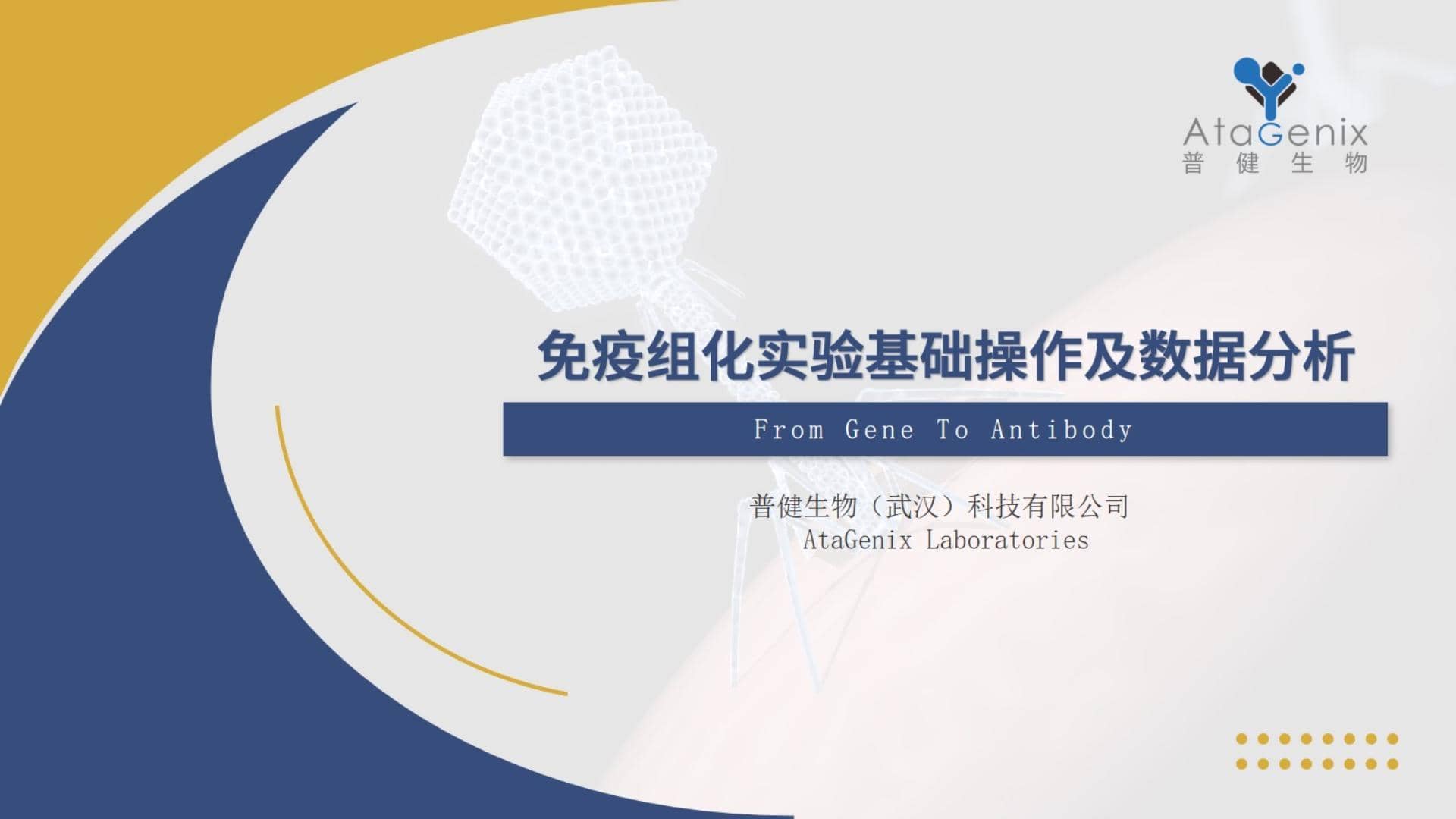 【基礎(chǔ)實驗一篇搞定】免疫組化——IHC實驗基礎(chǔ)操作