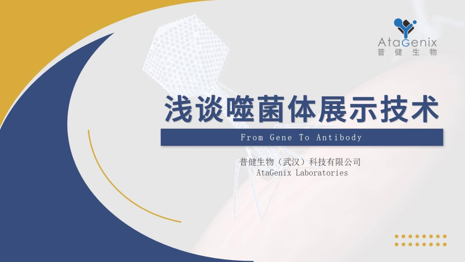 【一篇搞定】噬菌體展示技術(shù)與噬菌體展示抗體發(fā)現(xiàn)平臺