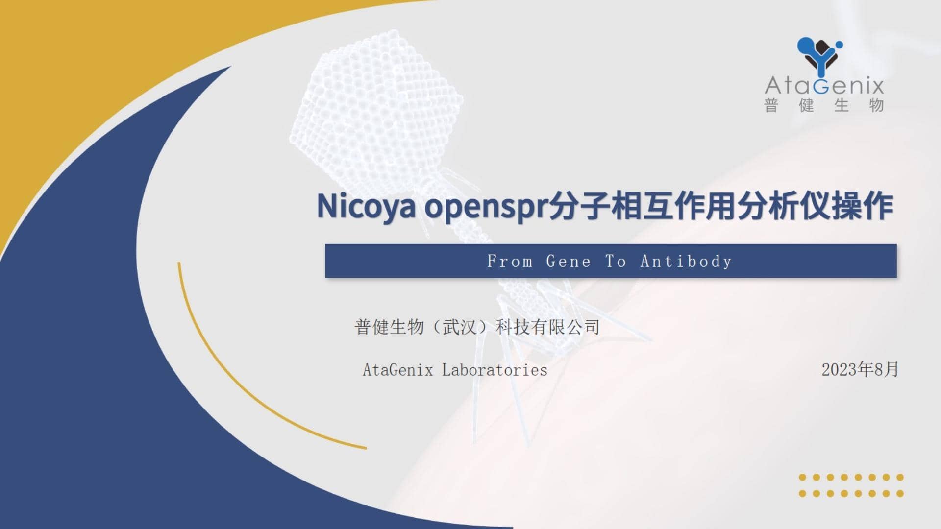 基礎(chǔ)試驗操作篇——SPR親和力測定