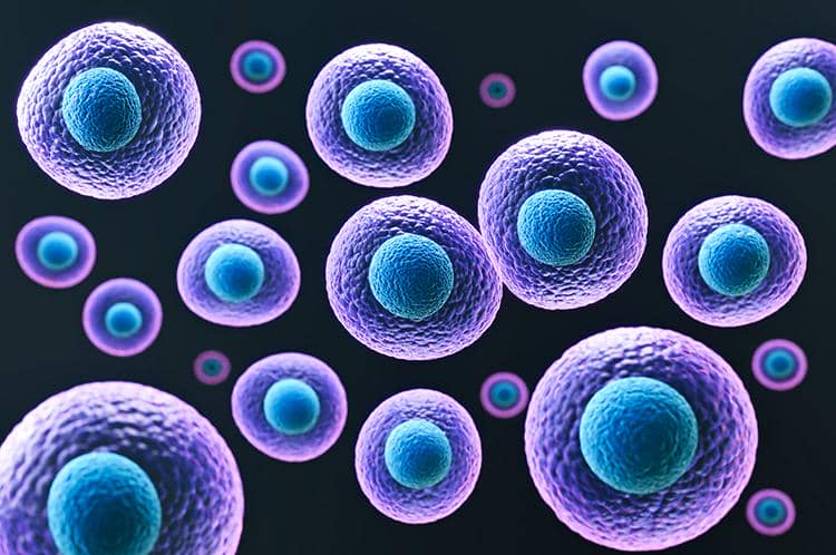 穩(wěn)定細(xì)胞株構(gòu)建過(guò)程中的一些常見問(wèn)題盤點(diǎn)